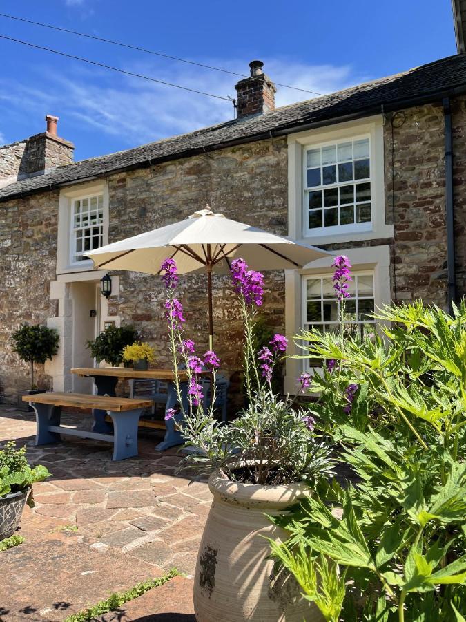 The Cosy Nook Company - Cosy